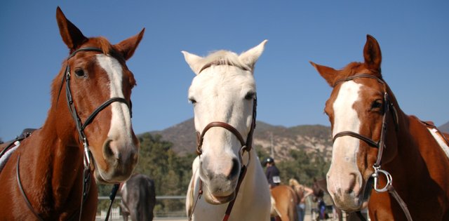 You Talkin to Us?