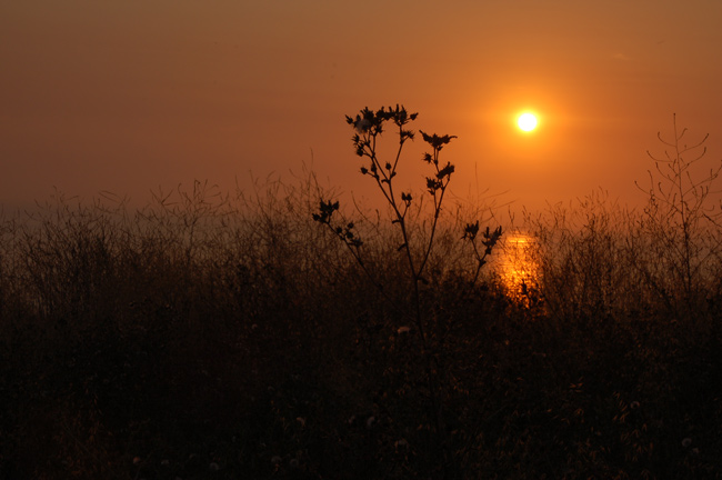 Palos Verdes Sunset 6 