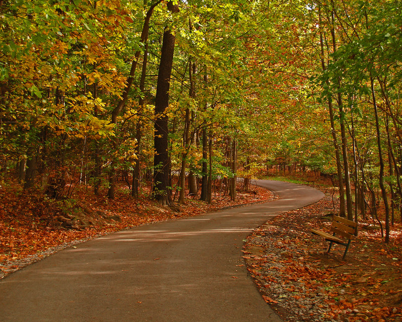 Pittsburgh in the Fall125.jpg