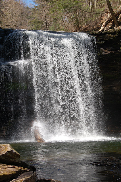 DSC_0050.jpg