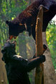 play fighting
