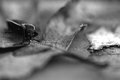DSC_0496.jpg