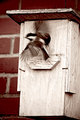 DSC_5128-Edit.jpg