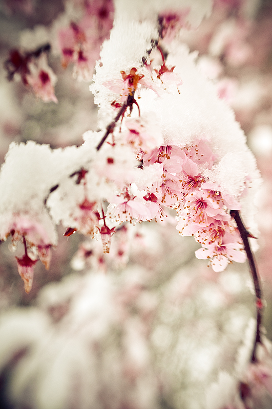 DSC_5325-Edit