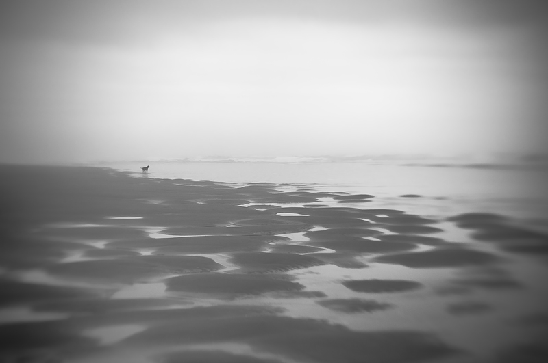 Sand dapple