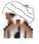bear_icon