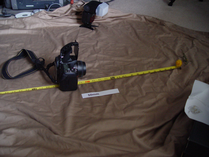50mmO.jpg