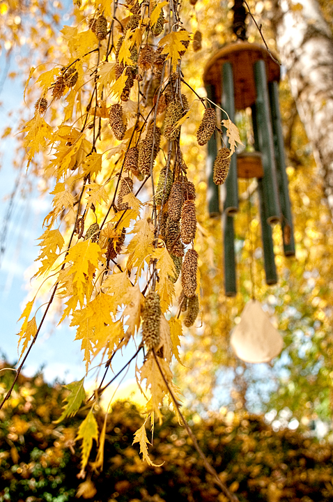 Foliage Outtake