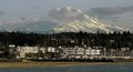 Majestic Rainier 2