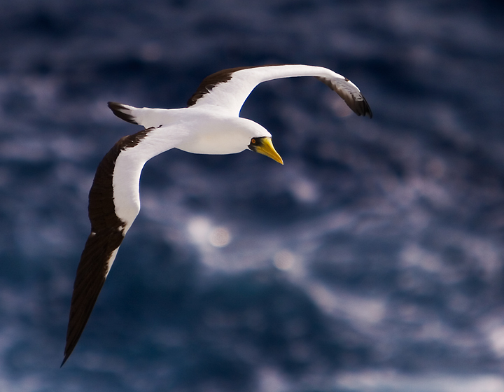 Glide