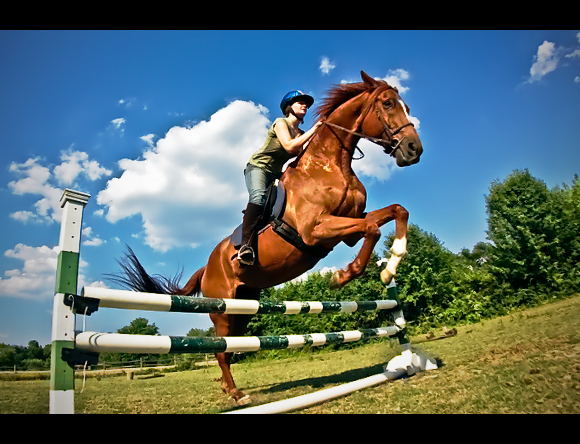 697129-Trinch.jpg