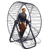 hamster_wheel2.gif