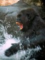 Splashing around.jpg