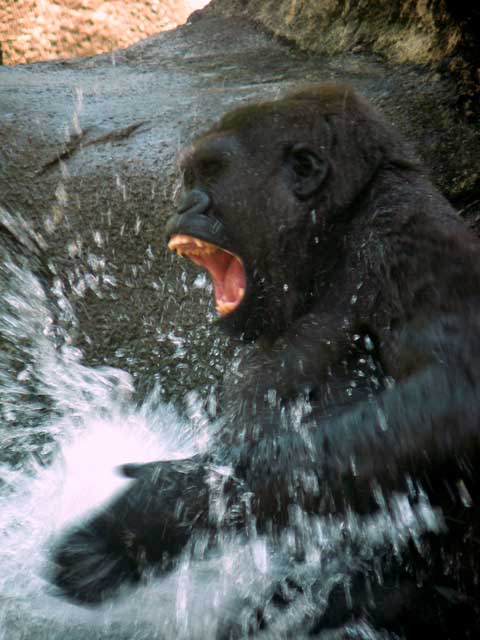 Splashing around.jpg