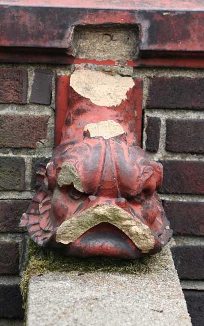 angry fish.jpg