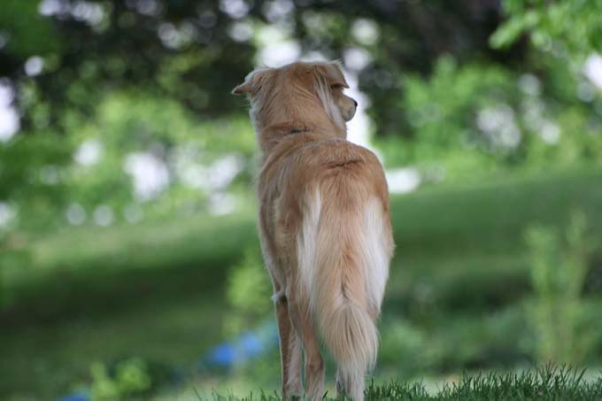 Looking into the distance.jpg