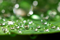 Drops 2