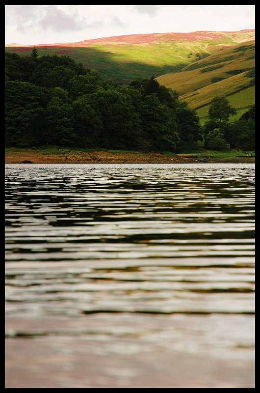 Distant Shore