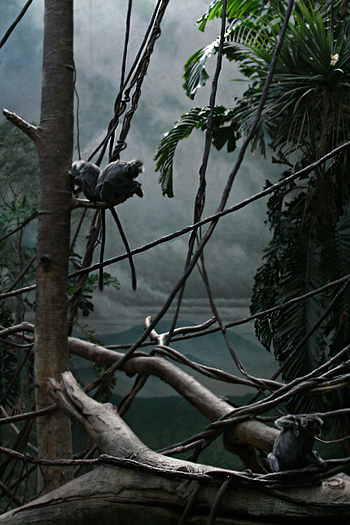Tree Climbers