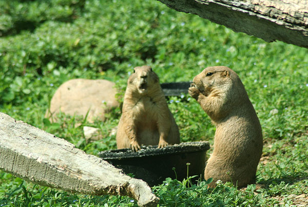 Lunchtime