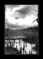 Too Late for Rain