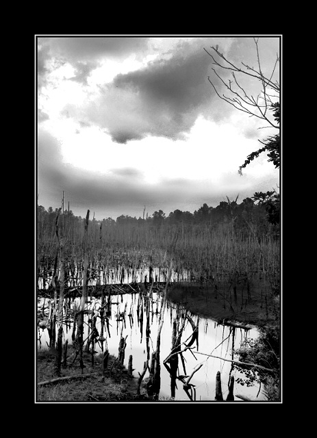 Too Late for Rain