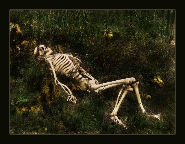 Desolation Again
