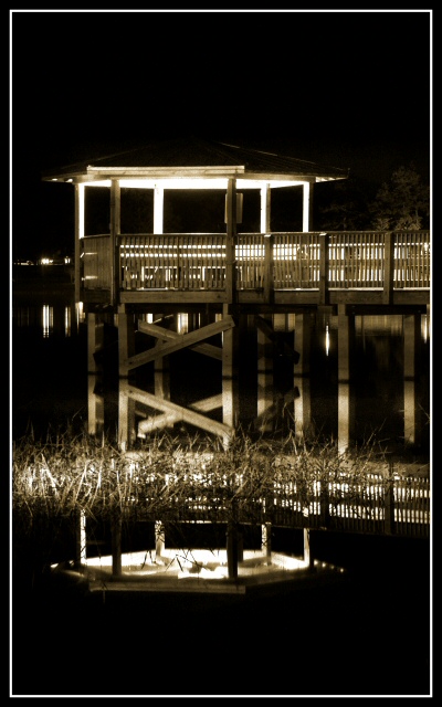 Reflections in the Grass