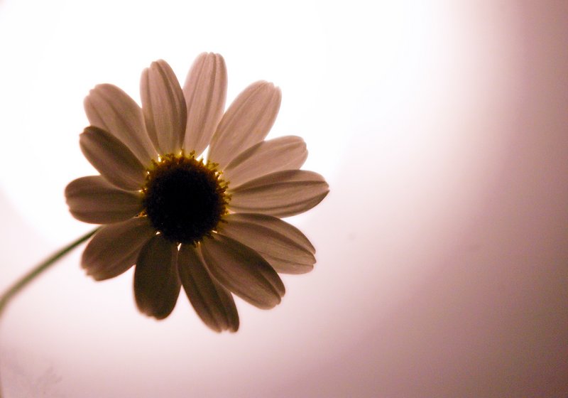 Simplicity