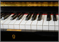 MFS_0025a.jpg
