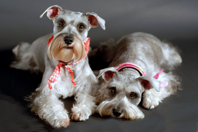 Sophie and Maggie