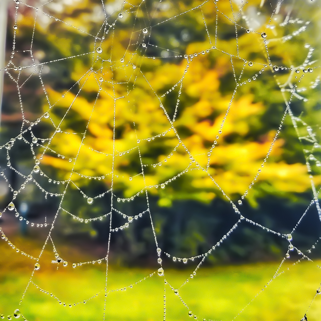 20181007_085135-01-2