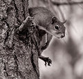 Hanging Around #4