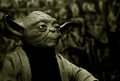 Yoda Doll #20