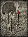 Happy Valentine's Day!  #5