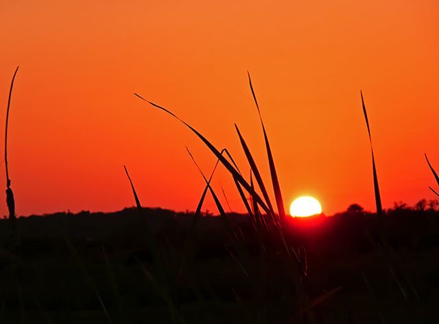 Simple Sunset P&S #8