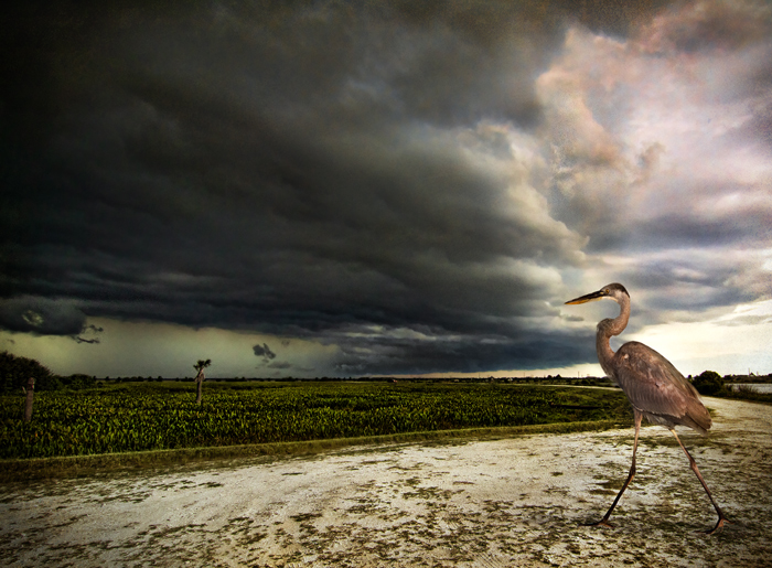 Facing the Storm