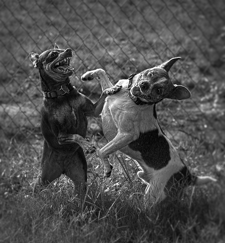 Serious Play