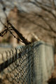 Fence