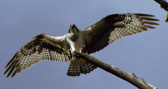 Lunch! (Crop)
