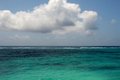 Paradise