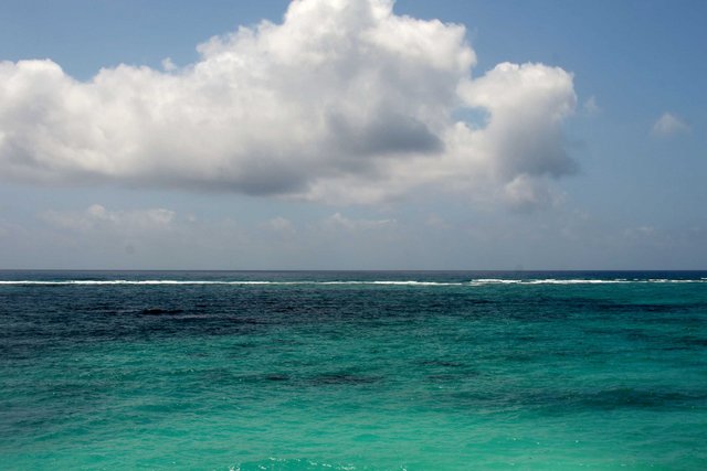 Paradise