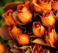 dried bouquet.JPG
