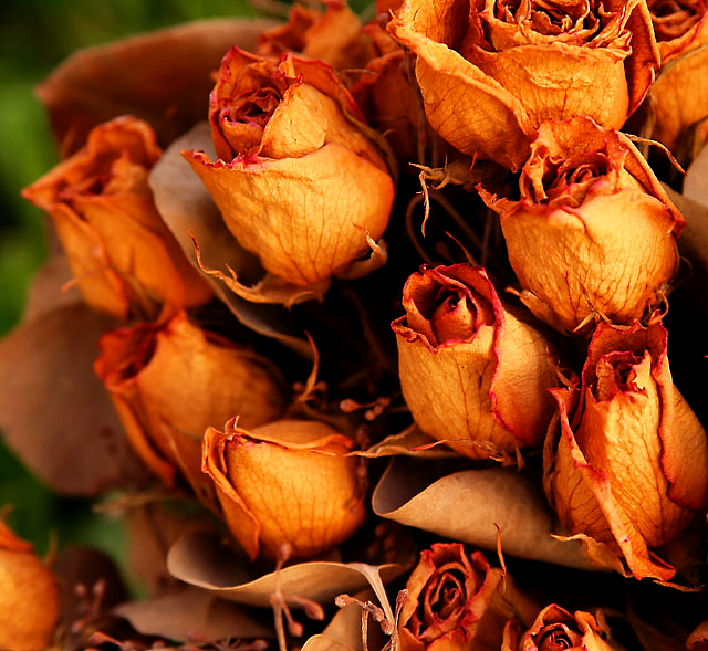 dried bouquet.JPG