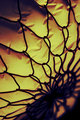 Abstract Mesh