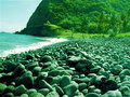 Maui Beach