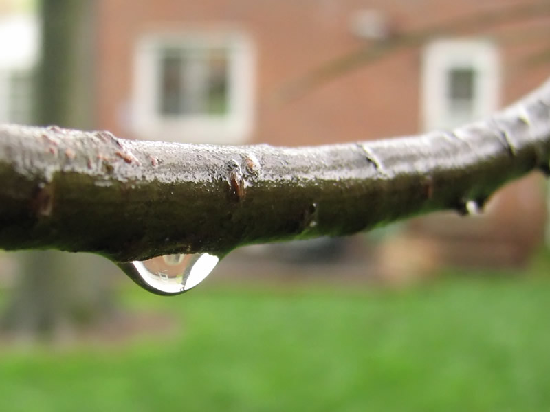 Branch Refraction