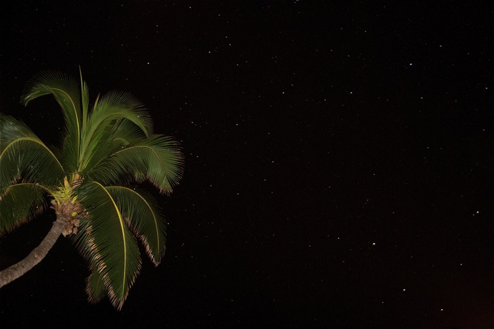 Maui Midnight