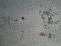 Shed-Texture20110809_0021