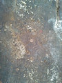 Shed-Texture20110809_0017